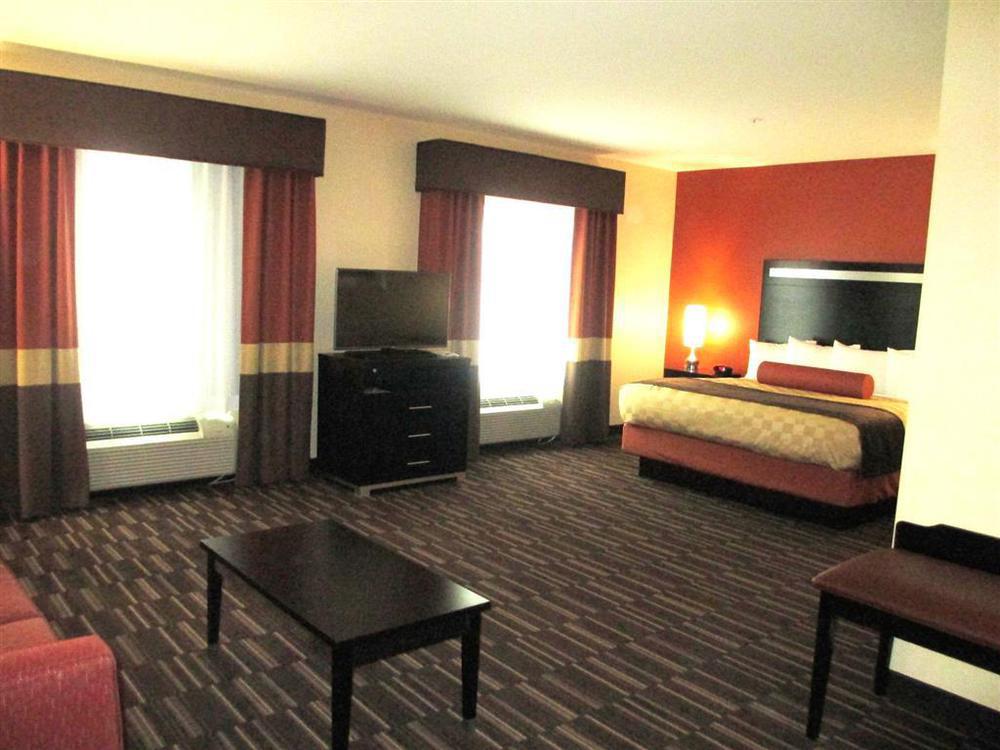 Western Desert Poppy Hotel