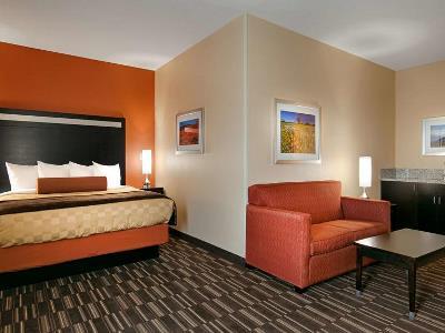Western Desert Poppy Hotel Lancaster