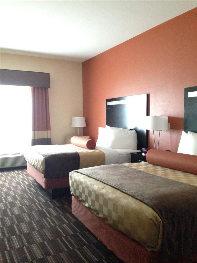 Western Desert Poppy Hotel