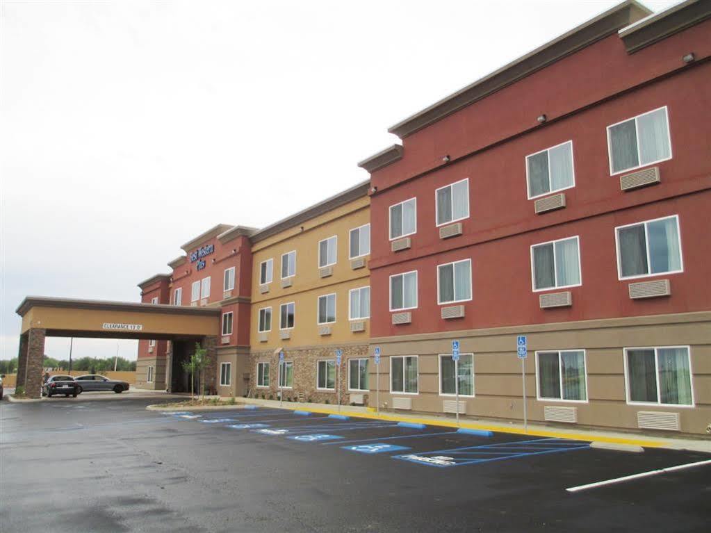 Western Desert Poppy Hotel Lancaster